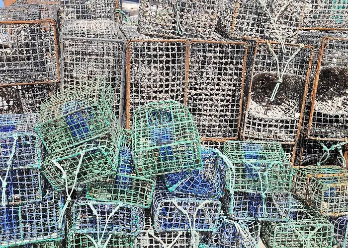 아파트 Seven 알보르